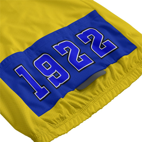 Image of Sigma Gamma Rho Cycling Jersey